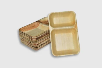 9x6 inch divided plate with 2 compartments from palm leaf